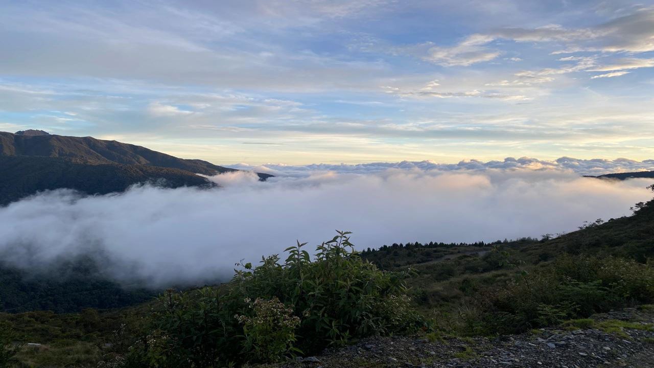 Selva De Manu De Cusco foto 6