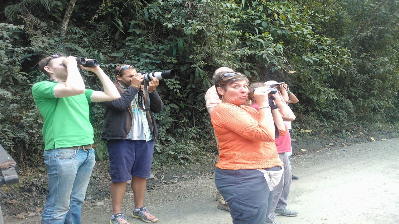 Observación De Aves Abra Malaga Desde Ollantaytambo foto 9
