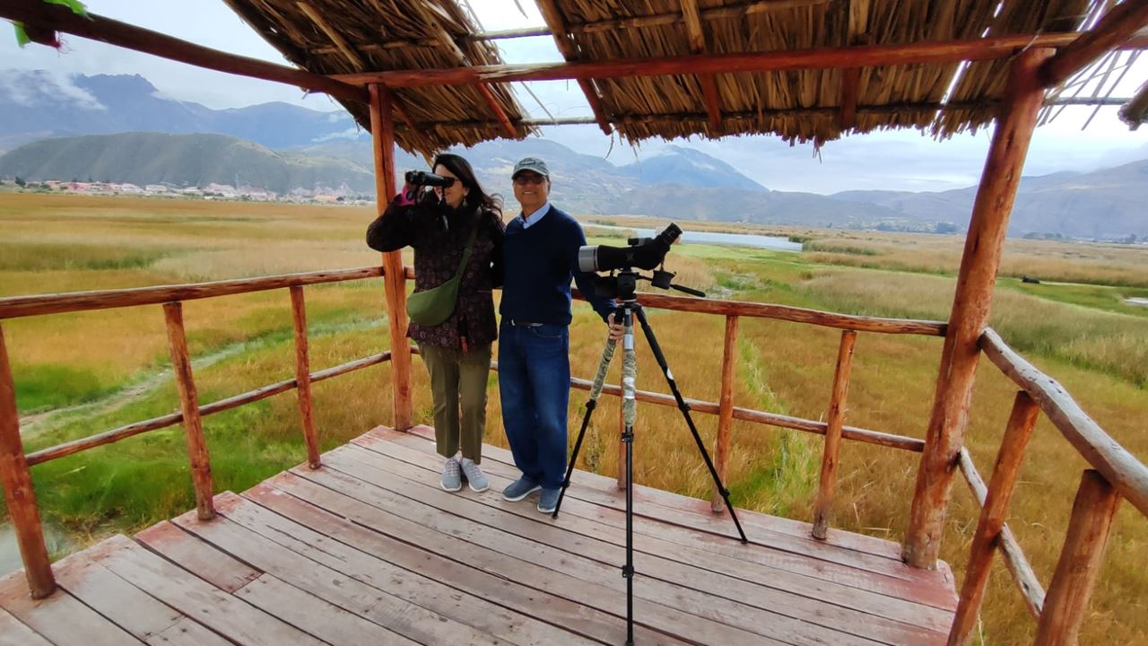 Observación De Aves Abra Malaga Desde Ollantaytambo foto 3