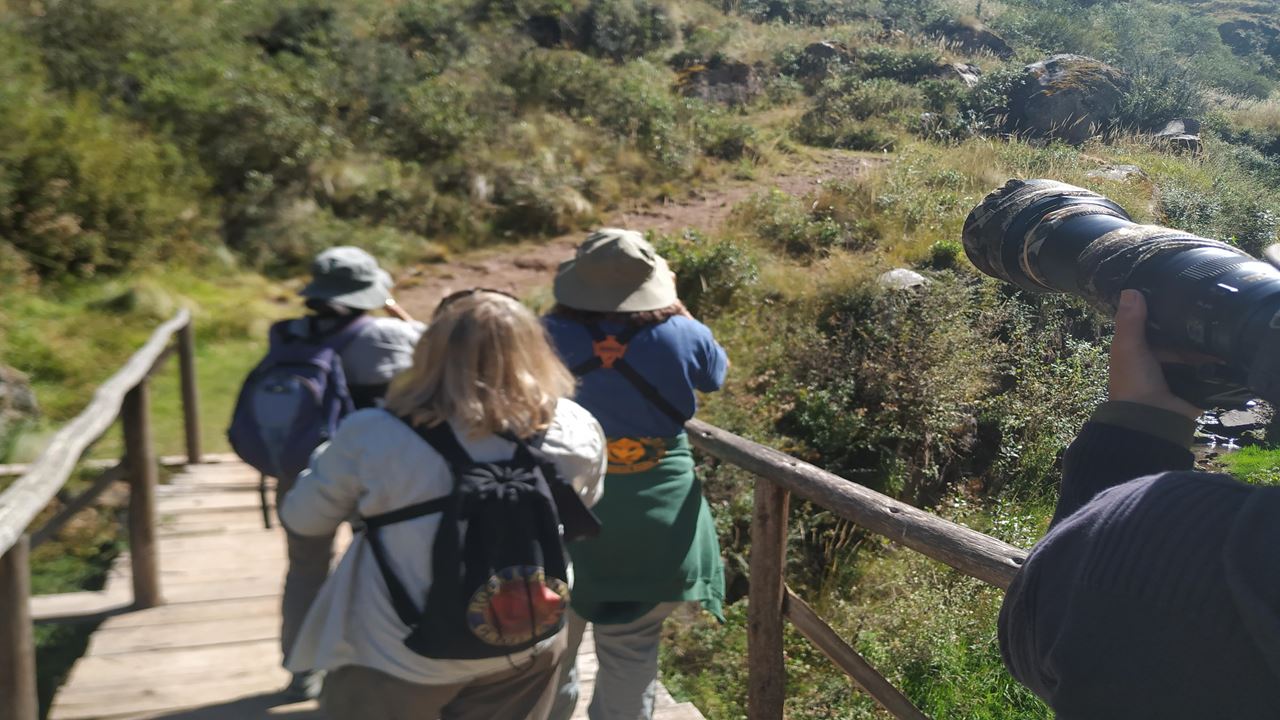 Observación De Aves Abra Malaga Desde Ollantaytambo foto 6