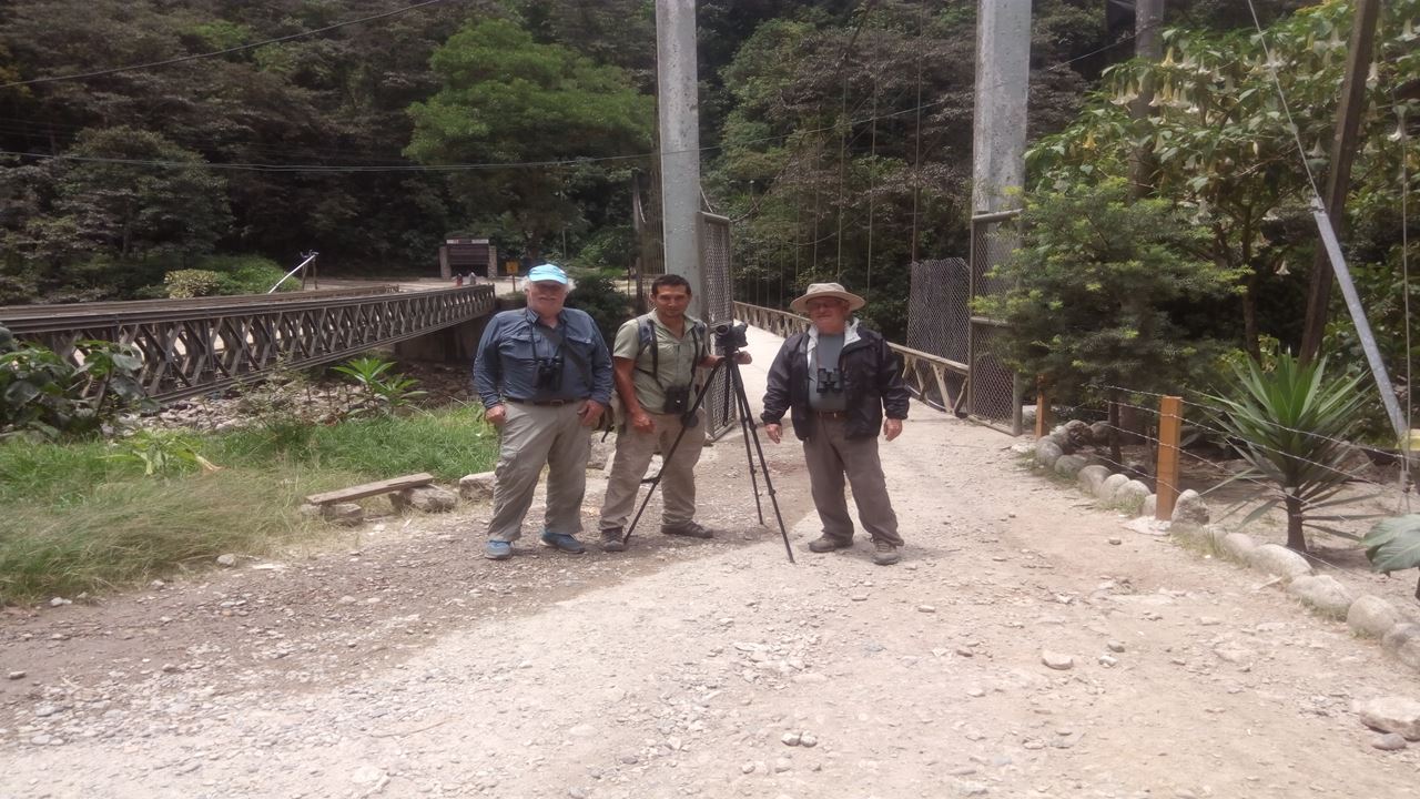 Vogelbeobachtung In Machu Picchu Von Ollantaytambo Aus foto 9
