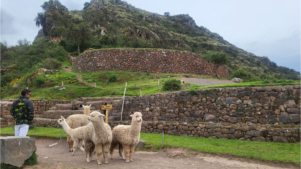 Heiliges Tal Der Inkas, Pisac, Ollantaytambo Und Chinchero Mit Mittagessen foto 7