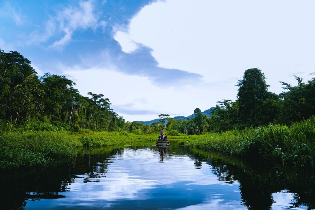Manu Jungle Tour From Cusco